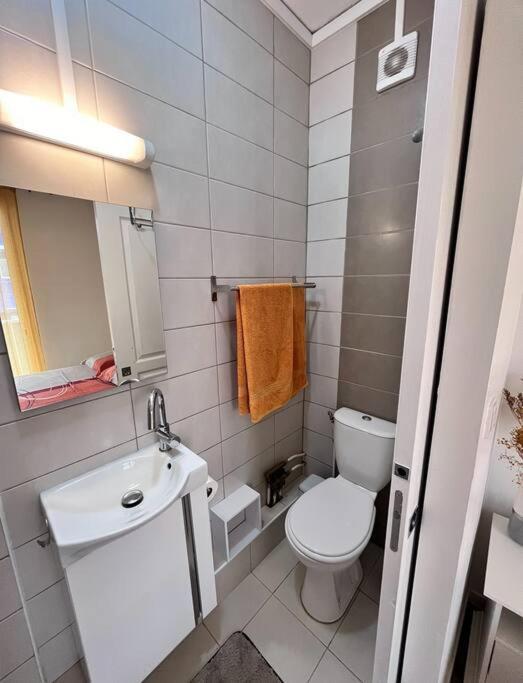Escale De Lucie Daire Saint Pierre Dış mekan fotoğraf